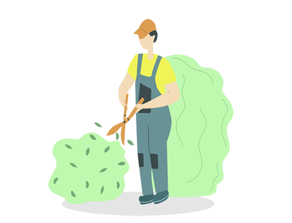 Gardening & Landscaping